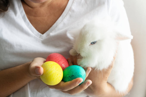 Woman holding hare and easter eggs - Foto, imagen