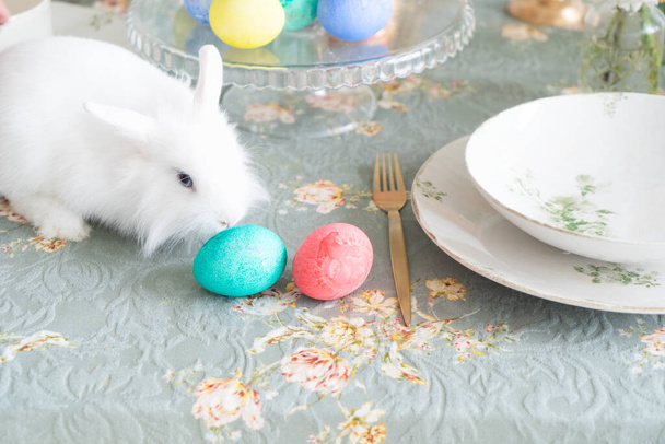 Easter scene with white eggs - Foto, Imagem