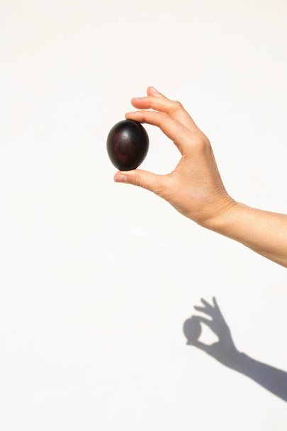 photo of a black egg in the hand with a shadow cast on a white background. Easter theme - Fotoğraf, Görsel