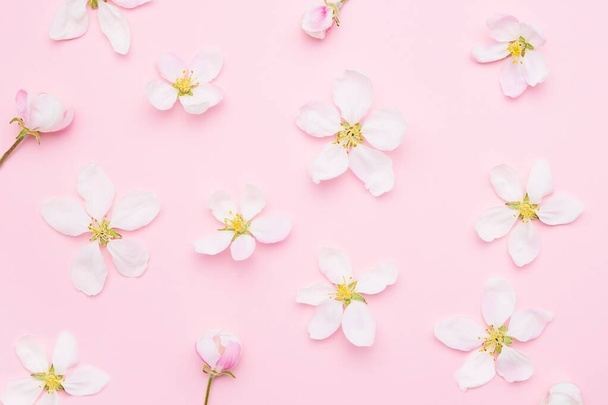 Apple tree blossom on a light pink background. Spring concept, flat lay - Foto, immagini