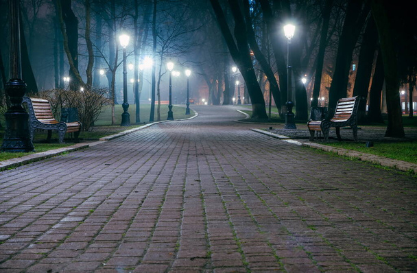 The alley of a night early winter park in a light fog. Footpath in a fabulous late autumn city park at night with benches and latterns. Beautiful cold evening in Mariinsky Park. Kyiv, Ukraine. - Photo, Image