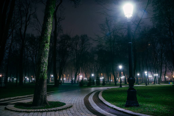 The alley of a night early winter park in a light fog. Footpath in a fabulous late autumn city park at night with benches and latterns. Beautiful cold evening in Mariinsky Park. Kyiv, Ukraine. - Foto, immagini