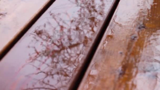 Rain dripping on water on a wooden surface. Reflection of tree branches in a puddle. Raindrops. - Filmagem, Vídeo