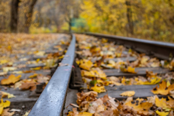 Σιδηρόδρομος γραμμή χάλυβα γκρο πλαν με φωτεινά κίτρινα φύλλα στο δάσος του φθινοπώρου. Πολύχρωμο Παιδικό Νότιο Σιδηροδρομικό στο Χάρκοβο, ταξίδια Ουκρανία - Φωτογραφία, εικόνα