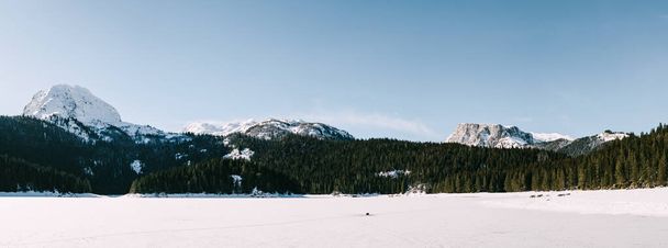 Black Lake surrounded by coniferous forest in Durmitor National Park. Panorama - 写真・画像