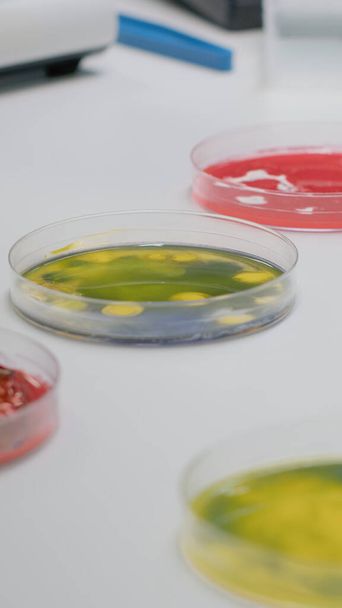 Primer plano de la placa de Petri de laboratorio con líquido biológico - Foto, imagen