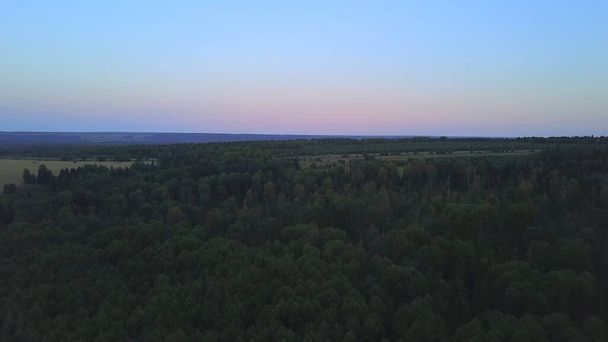夜明けの空と森と地平線のパノラマのトップビュー。クリップ。森の上の初期の夜明けの空の美しいパノラマ。夏の朝の緑の森と暗い空 - 写真・画像