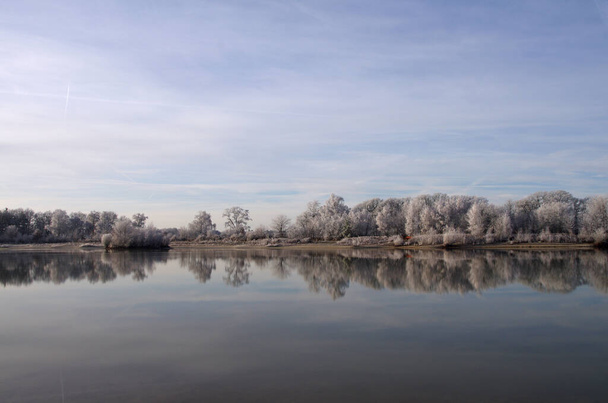 frost covered trees by the lake are reflected in the water - Foto, Bild
