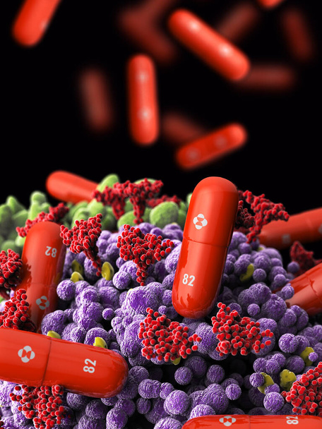 IItaly - 3. tammikuuta 2022: Molnupiraviirin viruslääke kapseleissa Coronavirus (COVID-19) Hyökkää virus, mikroskooppi visio kehittämä Merck and Co. Mikroskooppinäkymä, 3D-renderointi - Valokuva, kuva