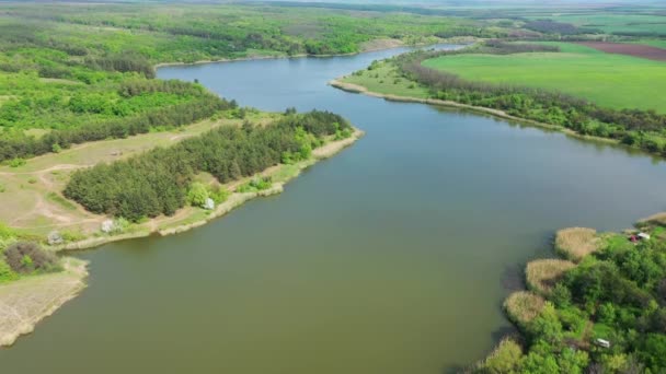 Lago entre campos agrícolas de primavera y árboles. Vista aérea - Metraje, vídeo