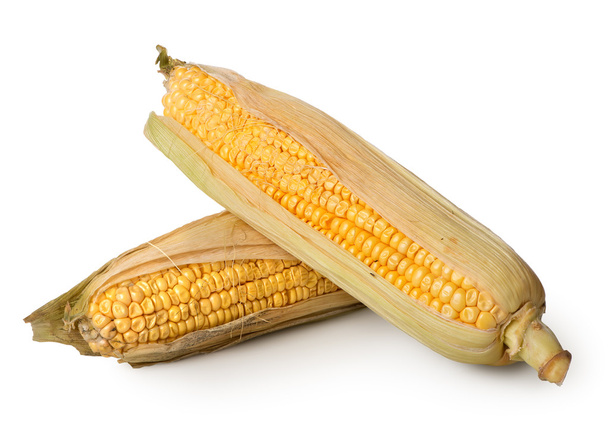 Two ears of corn - Photo, Image