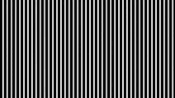 abstract background black and white lines motion graphics video - Кадры, видео