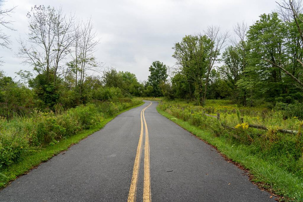 Uma estrada rural aberta de duas vias revestida com pântano e zonas húmidas. - Foto, Imagem