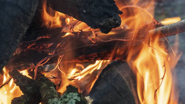 Burning wood at evening. Campfire at touristic camp at nature. Flame amd fire sparks on dark abstract background. Hellish fire element. Fuel, power and energy - Foto, afbeelding