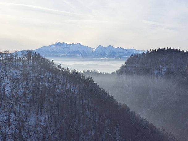 Winter landscape of the Tatra Mountains as seen from Sokolica. Pieniny and Tatra Mountains on a frosty day. Fogs in the valleys. - Photo, Image