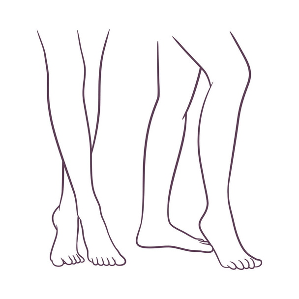 Perfect and beautiful female legs, Woman legs up vector illustration - Vector, imagen