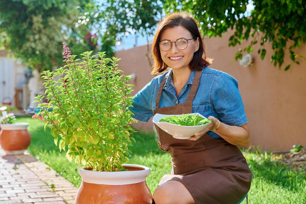 Woman picking leaves from potted basil bush, home spicy herbal garden - Photo, image