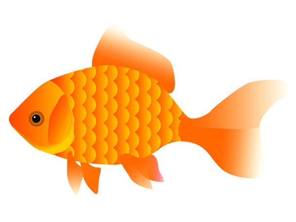 Single fish, vector illustration  - Vector, Image