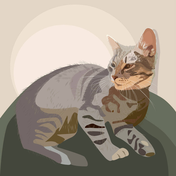 Vector portrait drawing of a cat. Beautiful kitten illustration. For printing on fabric, paper wallpaper - Vector, Image
