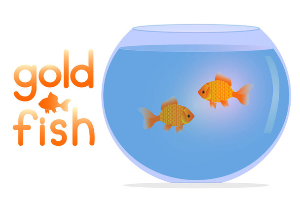Illustratie van een aquarium met twee goudvissen. Huisdieren in het aquarium. Glazen aquarium met water en goudvissen op witte ondergrond. Aquarium voor thuis en huisdieren. - Vector, afbeelding