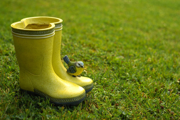 Yellow rubber boots with a tit sitting on them. A street statuette on the green grass . Decoration for the garden. - Photo, image