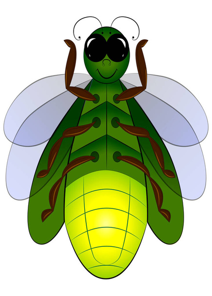 Beetle firefly coloring book for kids. Funny beetle with big eyes and wings. - Vector, Image
