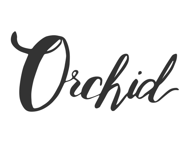 Die Inschrift des Wortes Orchidee in schwarz auf weißem Hintergrund. Für Werbung für Orchideen. - Vektor, Bild