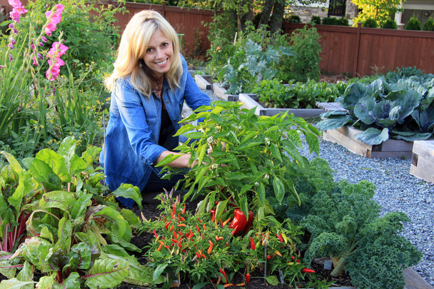 Woman in the vegetable garden - Photo, Image