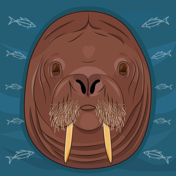 Portrait of a walrus. Beautiful walrus in the water. - Vektor, kép