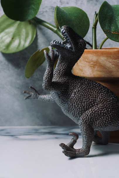 Angry hostile yelling toy dinosaur in macro closeup - Фото, изображение