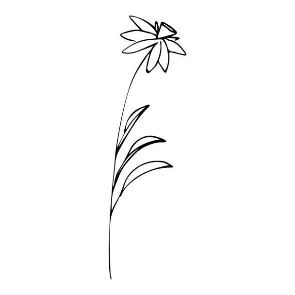 Einfache Sommerblumen-Zeichnungen. Abstrakte Blumenillustration. Handgezeichnete Vektorkunst. Schwarz-weiße Abbildung - Vektor, Bild