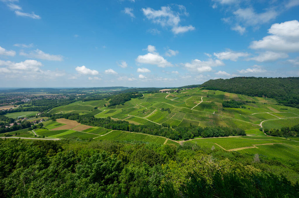 Panoraamanäkymät vihreille mäkisille viinitarhoille lähellä viinikylää Chateau-Chalon alueella Jura, Ranska - Valokuva, kuva