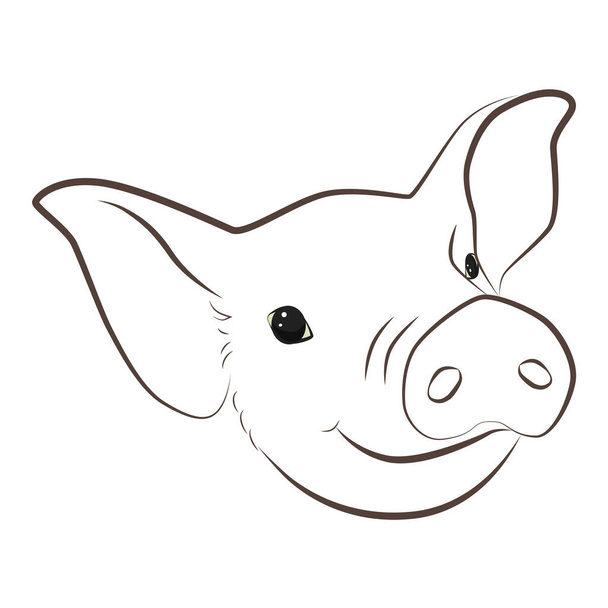 Little pig drawn lines. Piggy coloring book which is happy. - Vector, Image