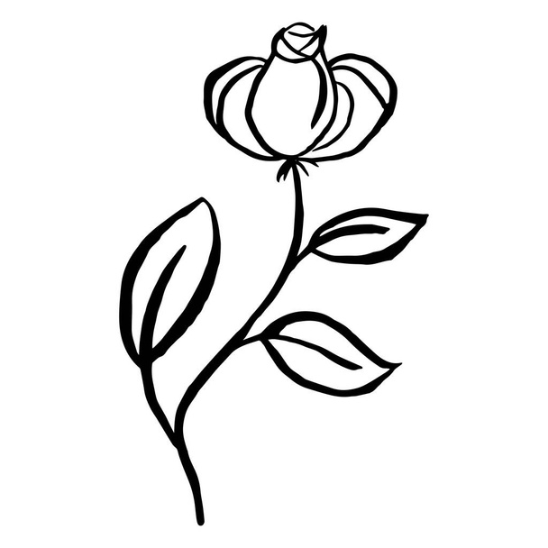 Απλά καλοκαιρινά σχέδια λουλουδιών. Αφηρημένη απεικόνιση λουλουδιών. Χειροποίητη διανυσματική τέχνη. Μαύρη λευκή απεικόνιση - Διάνυσμα, εικόνα