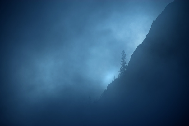mist en geïsoleerde naaldboom op ruig bergwand - Foto, afbeelding
