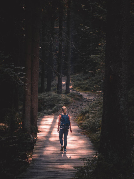 a young woman walks along the path in the forest - 写真・画像