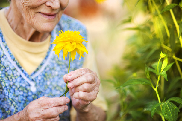Senior woman holding flower - Фото, изображение
