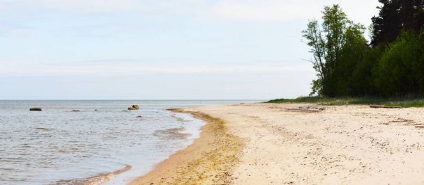 A Balti-tenger sziklás partja egy napsütéses napon. Stones közelkép. Zöld erdő, páfrány, fa rönkök a háttérben. Ruhnu sziget, Észtország. Nyaralás, utazás, környezetvédelem - Fotó, kép