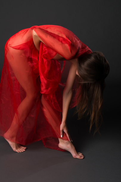 Red tulle - Photo, Image