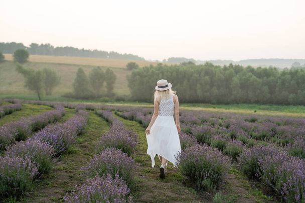 美しい若い女性が白いドレスを着て花のラベンダー畑の真ん中を歩く - 写真・画像