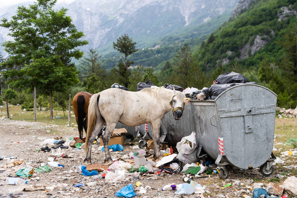 afval op de berg, Nationaal park Theti in Albanië. - Foto, afbeelding