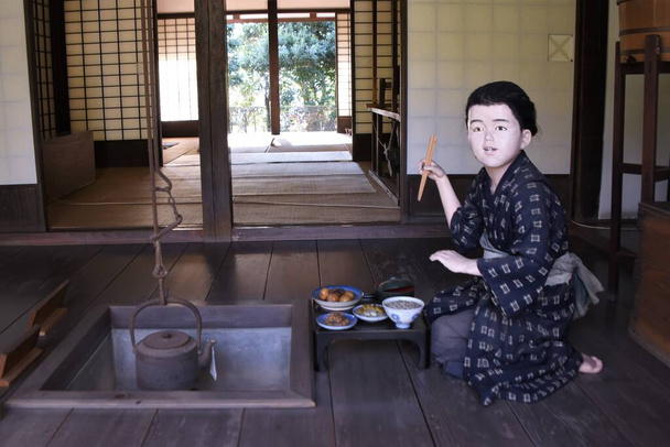 The residence of the Local governor of the Edo period in Japan. A tourist attraction in Fuji City, Shizuoka Prefecture. - Foto, immagini