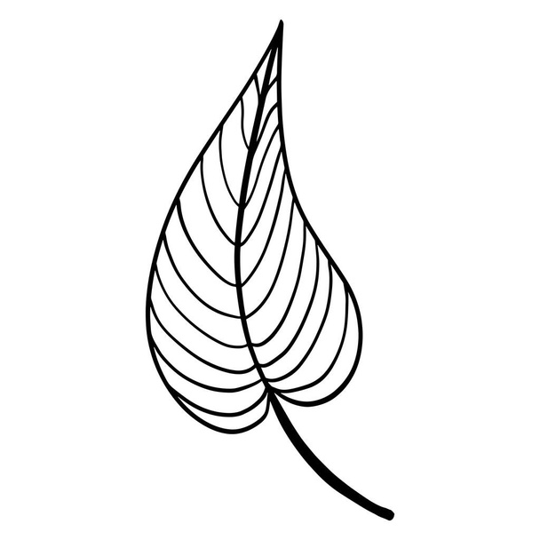 Striped tree leaf isolated vector illustration - Vektor, kép