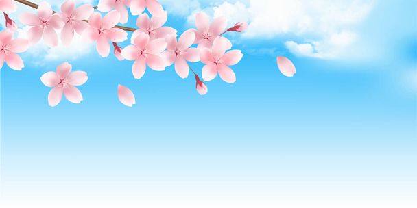 Wiśnia kwiaty Japoński wzór wiosna tło  - Wektor, obraz