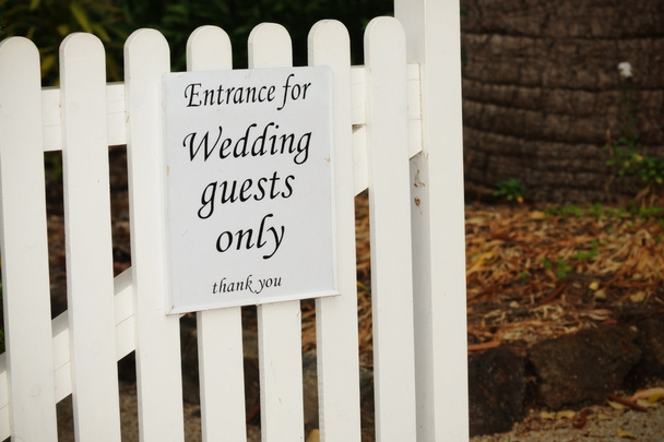 Гості весілля тільки
 - Фото, зображення