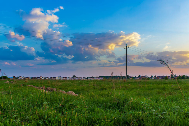 A field with grass in summer morning. - Fotó, kép