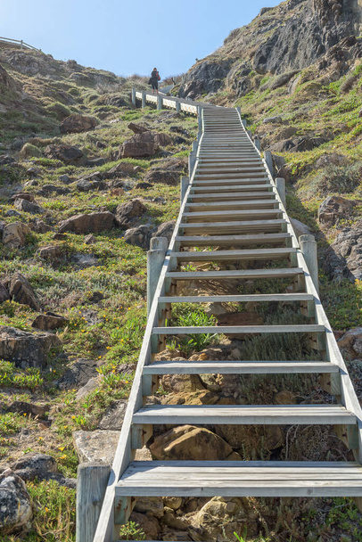 CAPE POINT, SOUTH AFRICA - DEC 23, 2021: Steps down to Diaz Beach at Cape Point. One person is visible - 写真・画像