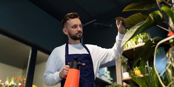 flower care specialist sprays potted plants with water - Fotó, kép
