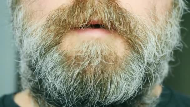 Mad man with the wild reddish-gray beard talks a lot. The bearded man is praying. A crazy man with a disheveled beard whispers something terribly. Scary quiet whisper of a man. Horror. Close-up - Záběry, video