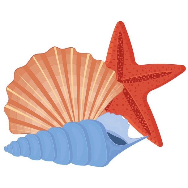 A set of colored seashells. Isolated vector illustration on a white background. - Vector, Image